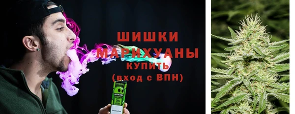 ГАЛЛЮЦИНОГЕННЫЕ ГРИБЫ Гусев