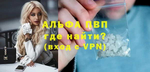 ГАЛЛЮЦИНОГЕННЫЕ ГРИБЫ Гусев