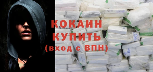 ГАЛЛЮЦИНОГЕННЫЕ ГРИБЫ Гусев