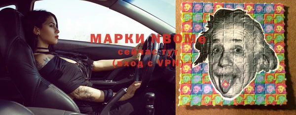ГАЛЛЮЦИНОГЕННЫЕ ГРИБЫ Гусев
